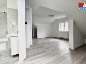 Pronájem bytu 1+kk, Nejdek, Chodovská, 49 m2