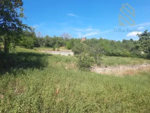 Prodej pozemku pro bydlení, Velké Žernoseky, 4490 m2