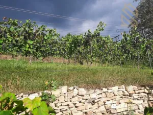 Prodej pozemku pro bydlení, Velké Žernoseky, 4490 m2