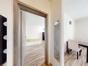 Pronájem bytu 1+1, Ostrava - Mariánské Hory, Korunní, 37 m2