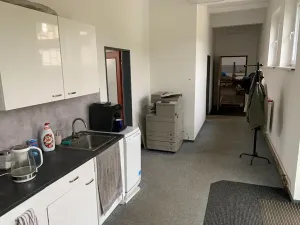 Pronájem výrobních prostor, Ústí nad Labem, U Tonasa, 1248 m2