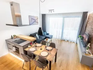 Pronájem bytu 2+kk, Praha - Žižkov, U Viktorie, 68 m2
