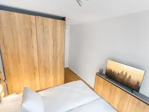 Pronájem bytu 2+kk, Praha - Žižkov, U Viktorie, 68 m2