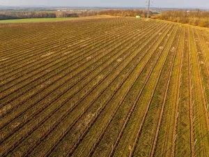 Prodej sadu/vinice, Troskotovice, 243931 m2