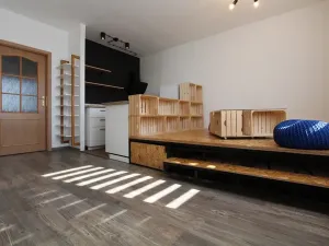 Pronájem bytu 1+kk, Brno, Rašelinová, 33 m2