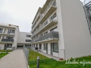 Pronájem bytu 1+kk, Brno - Zábrdovice, Spolková, 34 m2