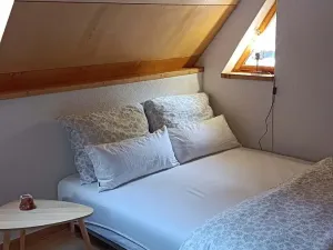 Pronájem chaty, Loučná pod Klínovcem, 59 m2