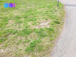 Prodej pozemku pro bydlení, Petřvald, 989 m2