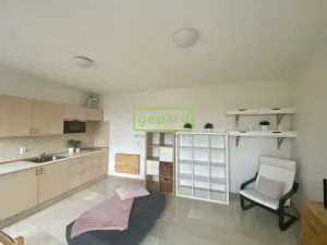 Pronájem bytu 1+kk, Dobřichovice, 5. května, 34 m2