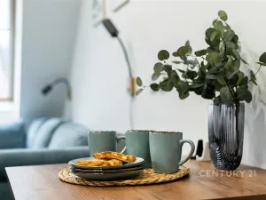 Pronájem bytu 2+kk, Praha, Plzeňská, 43 m2