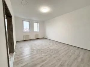 Pronájem bytu 1+1, České Budějovice - České Budějovice 3, Riegrova, 39 m2