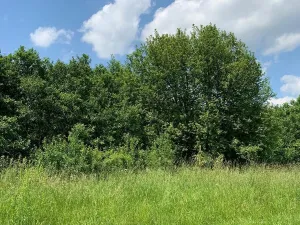 Prodej pozemku pro bydlení, Liběšice - Zimoř, 3579 m2