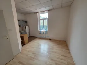 Pronájem bytu 1+kk, Plzeň, Rokycanská, 30 m2