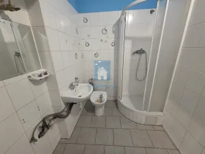 Pronájem bytu 1+kk, Plzeň, Rokycanská, 30 m2