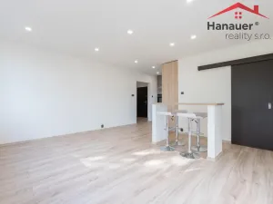 Pronájem bytu 2+kk, Chlumec, Alejní, 48 m2