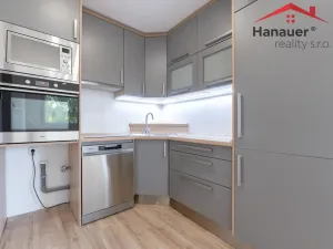 Pronájem bytu 2+kk, Chlumec, Alejní, 48 m2