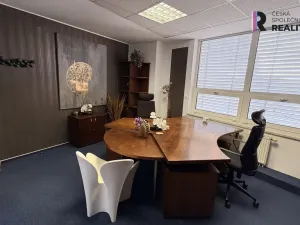 Pronájem kanceláře, Brno - Zábrdovice, Příkop, 16 m2