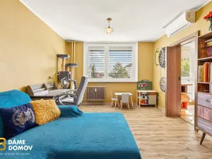 Prodej bytu 3+1, Hodonín, Sv. Čecha, 68 m2