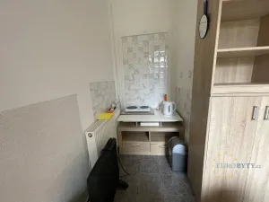 Pronájem bytu 1+kk, Zvole, Havraní, 12 m2