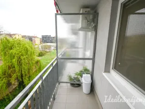 Pronájem bytu 1+kk, Brno - Zábrdovice, Francouzská, 30 m2