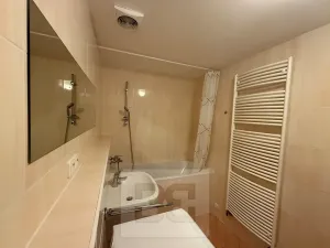 Pronájem bytu 2+kk, Praha - Holešovice, V háji, 44 m2