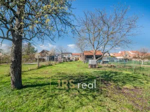 Prodej rodinného domu, Veselí nad Moravou - Zarazice, 527 m2