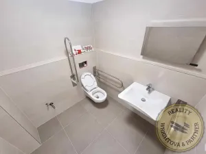 Pronájem kanceláře, Praha - Libeň, 316 m2