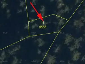 Prodej lesa, Huslenky, 198 m2