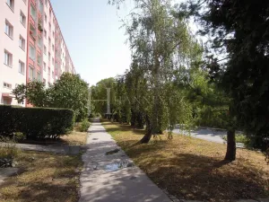 Pronájem bytu 1+1, Praha - Záběhlice, Práčská, 38 m2