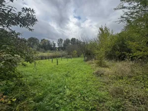 Prodej zahrady, Soběchleby, 1872 m2