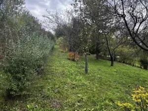 Prodej zahrady, Soběchleby, 1872 m2