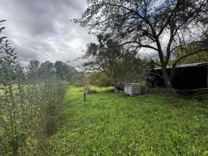 Prodej zahrady, Soběchleby, 1872 m2