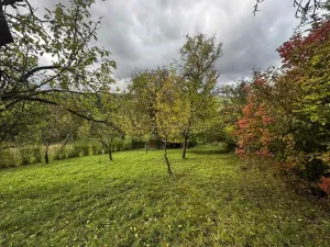 Prodej zahrady, Soběchleby, 1872 m2