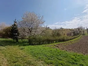 Prodej zahrady, Soběchleby, 1872 m2
