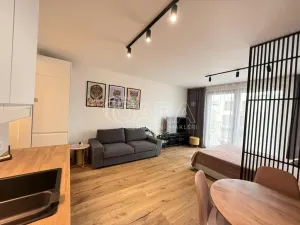 Pronájem bytu 1+kk, Praha - Karlín, Křižíkova, 32 m2