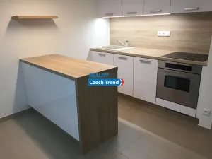 Pronájem bytu 1+kk, Olomouc, Čajkovského, 30 m2