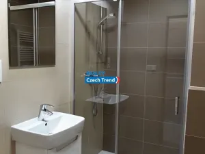 Pronájem bytu 1+kk, Olomouc, Čajkovského, 30 m2