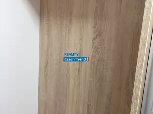 Pronájem bytu 1+kk, Olomouc, Čajkovského, 30 m2