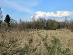 Dražba komerčního pozemku, Praha - Ďáblice, Červenomlýnská, 3900 m2