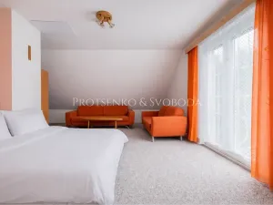 Prodej rodinného domu, Ždírec nad Doubravou, 290 m2