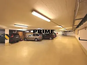 Pronájem bytu 6+kk a větší, Praha - Vinohrady, Ibsenova, 255 m2