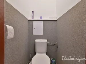 Prodej bytu 1+1, Nížkovice, 35 m2