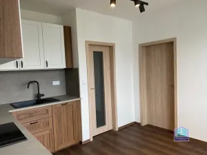 Pronájem bytu 1+1, Plzeň - Bolevec, Žlutická, 39 m2