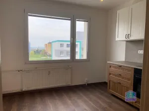 Pronájem bytu 1+1, Plzeň - Bolevec, Žlutická, 39 m2