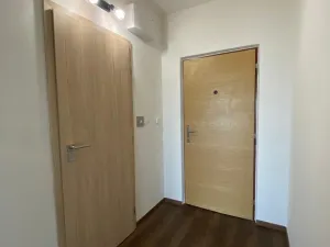 Pronájem bytu 1+1, Plzeň - Bolevec, Žlutická, 39 m2