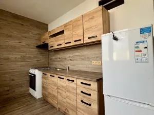 Pronájem bytu 3+1, Frýdek-Místek - Frýdek, Jana Čapka, 66 m2