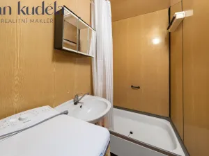 Prodej bytu 2+kk, Brno, Bzenecká, 39 m2