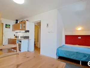 Pronájem bytu 1+kk, Kořenov, 29 m2