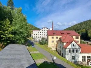 Pronájem bytu 1+kk, Kořenov, 29 m2