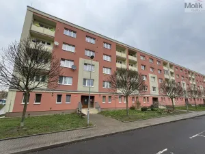 Prodej bytu 2+1, Duchcov, Bydžovského, 51 m2